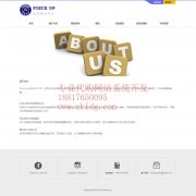 海外代购网站设计公司，基里巴斯阿里巴巴代购网站开发