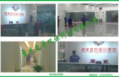 重庆最正规的室内净化公司_重庆专业治理甲醛