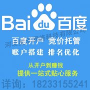 河北星乐网络科技专业从事百度开户竞价托管