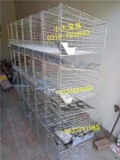 兔子笼鸽子笼宠物笼运输笼狐狸笼鹌鹑笼鸡笼鸽笼兔笼鸟笼狗笼猫笼