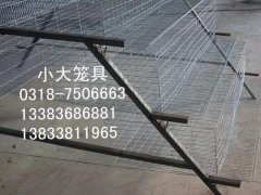 母兔笼肉兔笼好鸽笼鹧鸪笼狐狸笼鹌鹑笼鸟笼狗笼鸡笼鸽子笼兔子笼