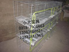 小鸡笼鹌鹑笼兔子笼鸽子笼鹧鸪笼运输笼兔笼子鸽笼子宠物笼狐狸笼