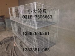 销售鸡笼子 鸽笼子 兔笼子 鸟笼 狗笼 运输笼 鹌鹑笼 鹧鸪