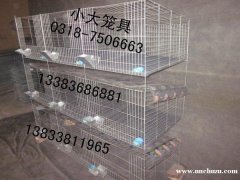 生产鸡笼 鸽笼 兔笼 鹌鹑笼 狐狸笼 运输笼 宠物笼 鹧鸪笼