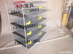 生产鸡笼 鸽笼 兔笼 鹌鹑笼 狐狸笼 运输笼 宠物笼 鹧鸪笼