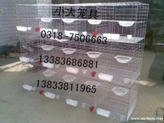 卖鸡笼子 鸽子笼 兔子笼 鹌鹑笼 运输笼 猫笼 狗笼 鹧鸪笼