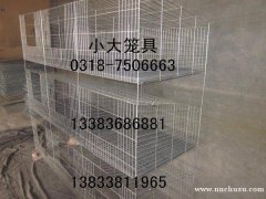 售种兔笼 仔母兔笼 喂料机用鸽笼 鸡笼 狗笼 运输笼 鹌鹑笼