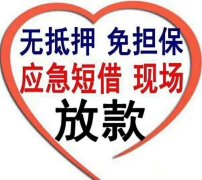 上海应急贷款 无抵押 房车贷 当天放款