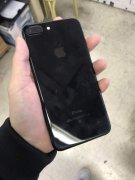 皇家国际网咨询15912532779低价转